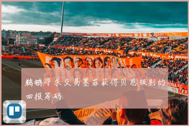 鹈鹕寻求交易墨菲获得贝恩级别的回报筹码