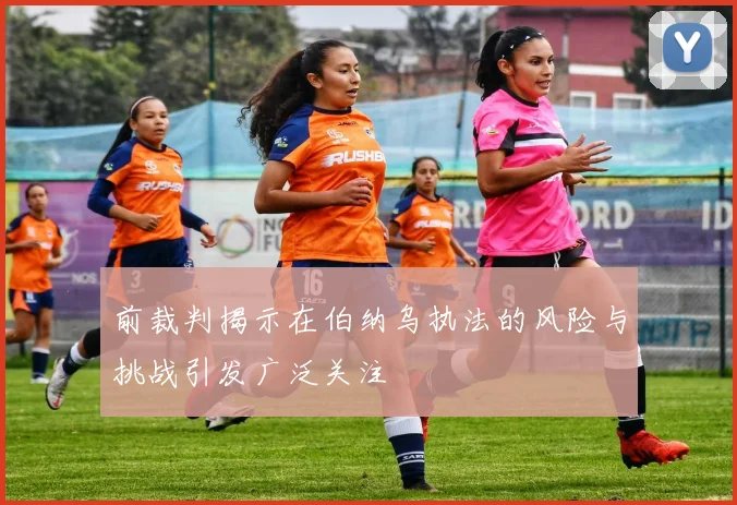 前裁判揭示在伯纳乌执法的风险与挑战引发广泛关注